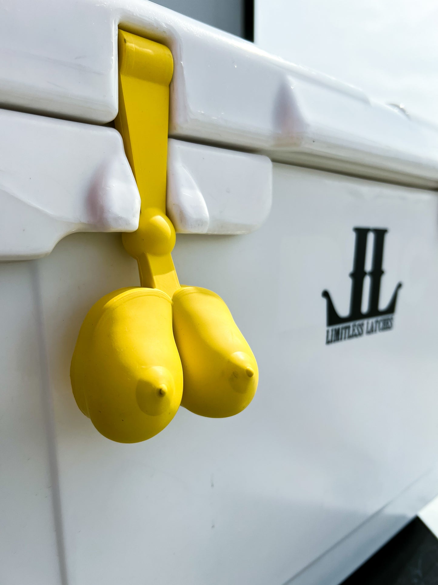 Breast Cancer Awareness Latch Set